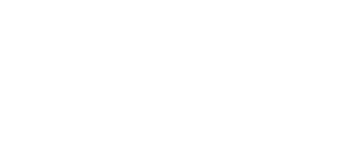 Artiz Studio
